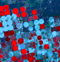 SPOT subscene (10 km on a side) near Garden City, Kansas showing many circular fields, most still unplanted, but some with actively growing crops (wheat).