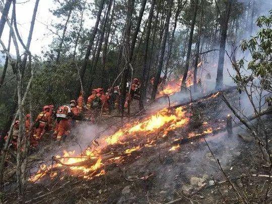 Emergency rescue in forest fire