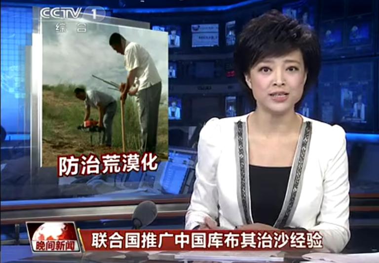 UN promotes China's Kubuqi desertification experience