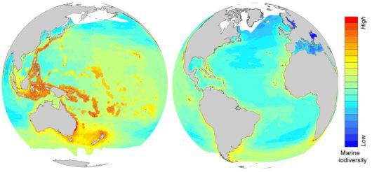 Hot spots of marine biodiversity most severely impacted by global warming