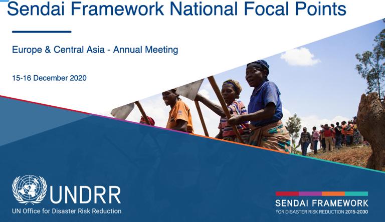 Sendai Framework National Focal Points From Europe and Central Asia Meet to Discuss Strategic Priorities for 2021