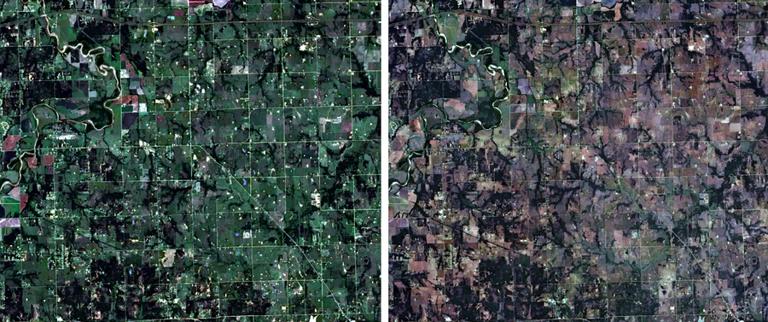 Detailed images from space offer clearer picture of drought effects on plants