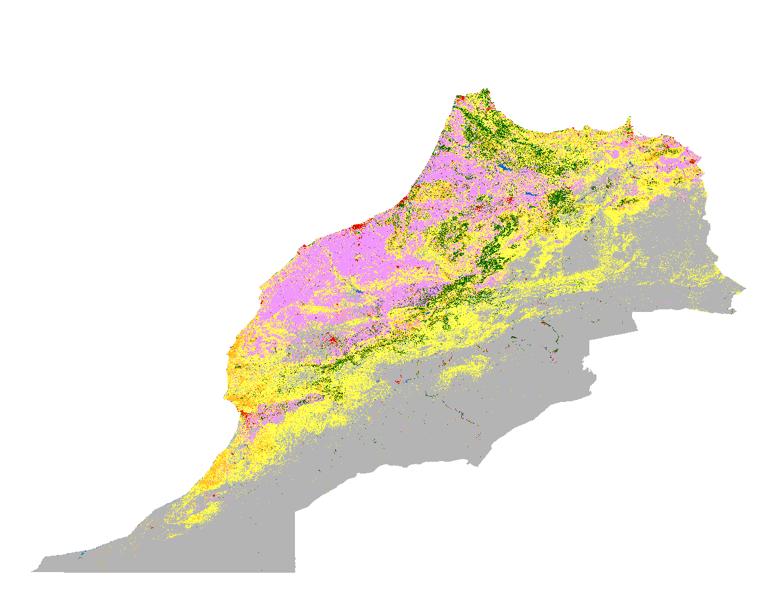 ESA Morocco land cover data for 2021