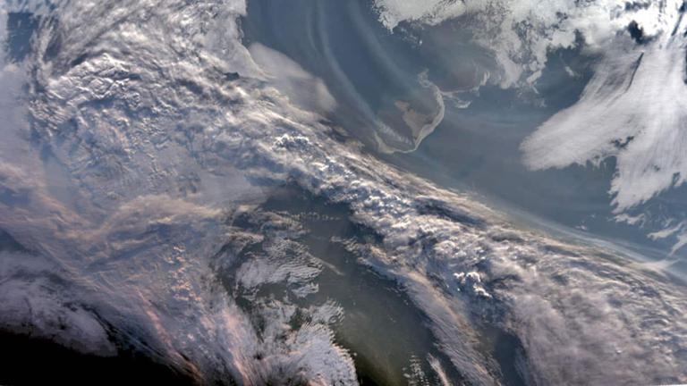 Wildfire Smoke May Have Amplified Arctic Phytoplankton Bloom