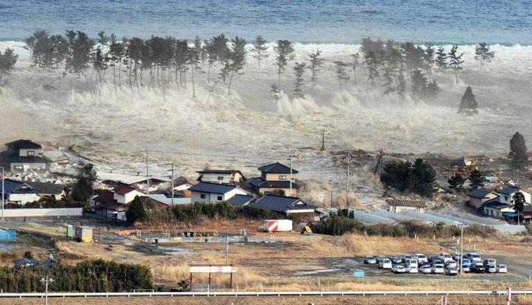 The 2004 Indian Ocean tsunami in Indonesia: killed at least 220,000 people in 13 countries