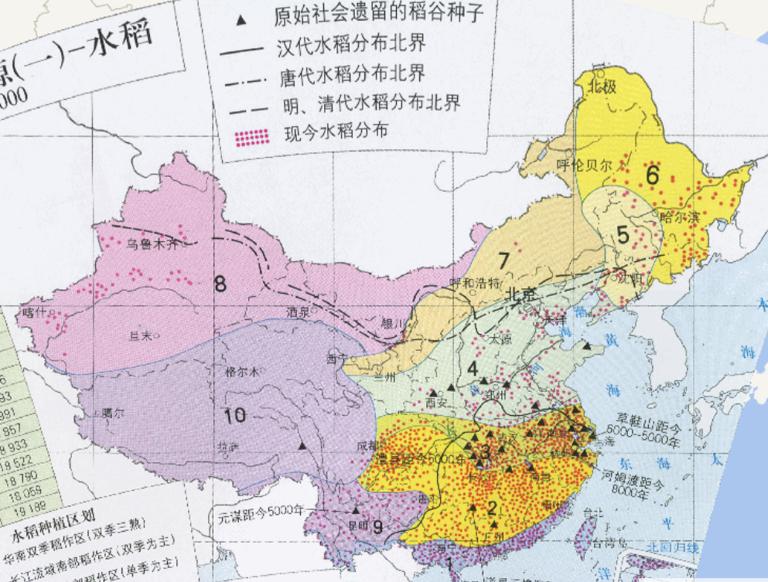 Distribution map of grain resources in China (paddy)