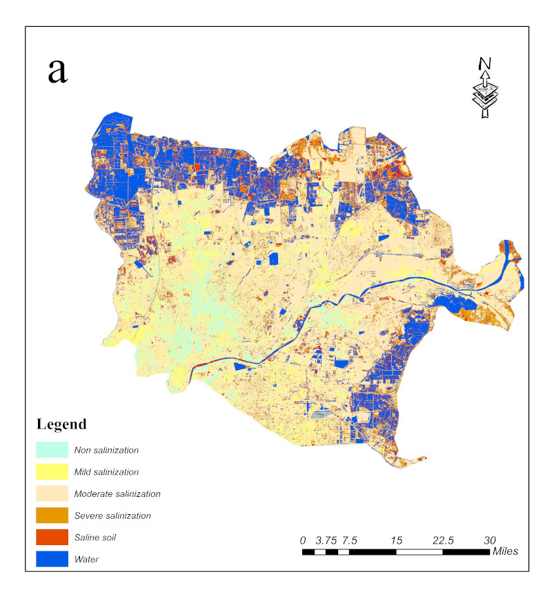 Dataset of soil salinization in the lower Yellow River and coastal cities（2015-2020）