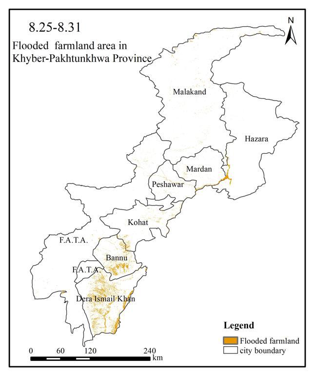 Dataset of Flooded Farmland in Khyber Pashtun Province, Pakistan (2022/8)