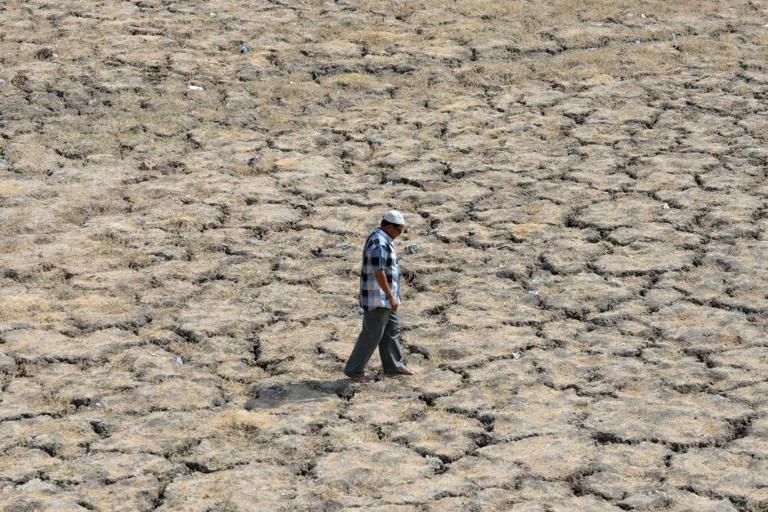 India heatwave: More than 500 dead as temperatures near 50 degrees Celsius; Andhra Pradesh and Telangana worst-hit states