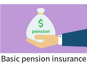 Basic pension insurance online calculator