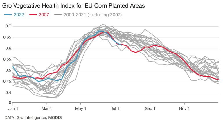 Europe’s Heat Wave Threatens Corn Crops at Critical Growth Juncture