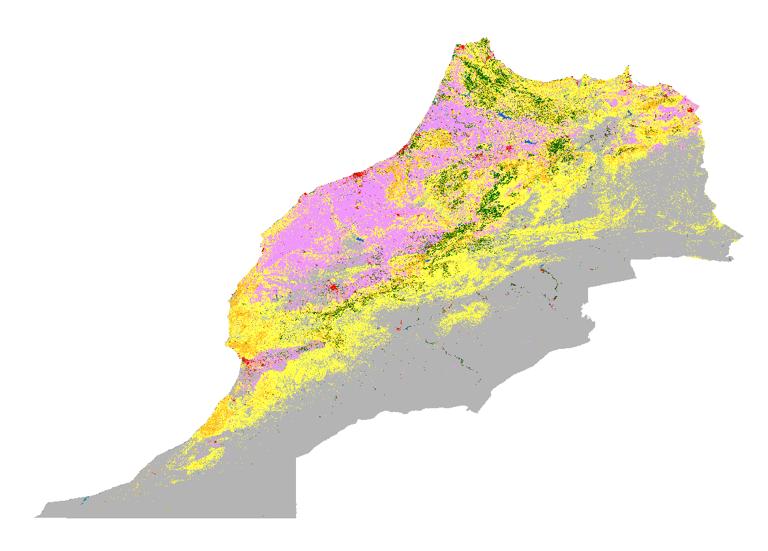 ESA Morocco land cover data for 2020