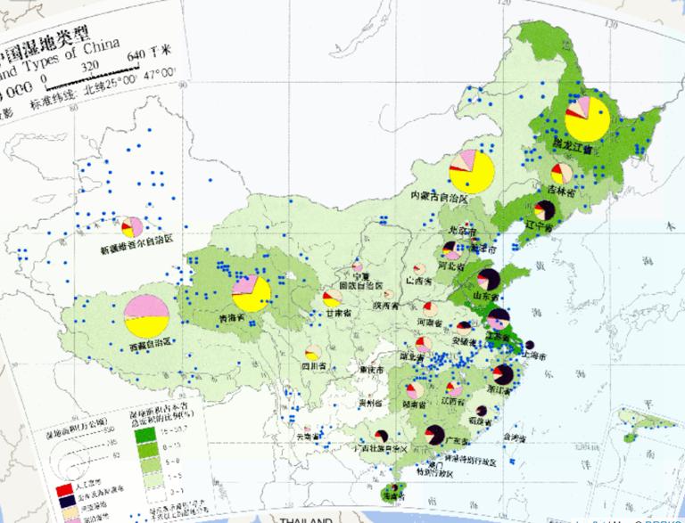 China Wetland Type (1: 32 million) Online Map
