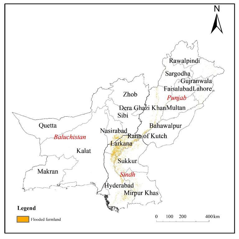 Dataset of flood inundated farmland in Balochistan, Sindh and Punjab provinces, Pakistan