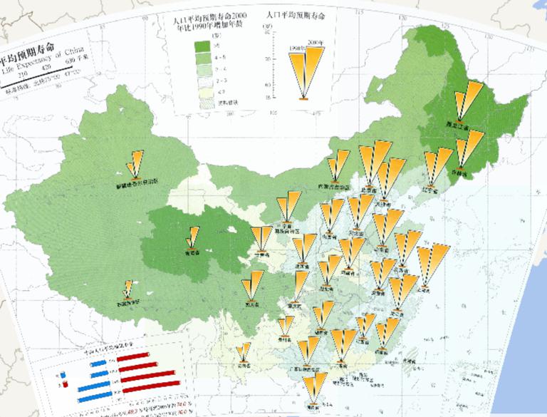 Online Life Expectancy of China 's Population