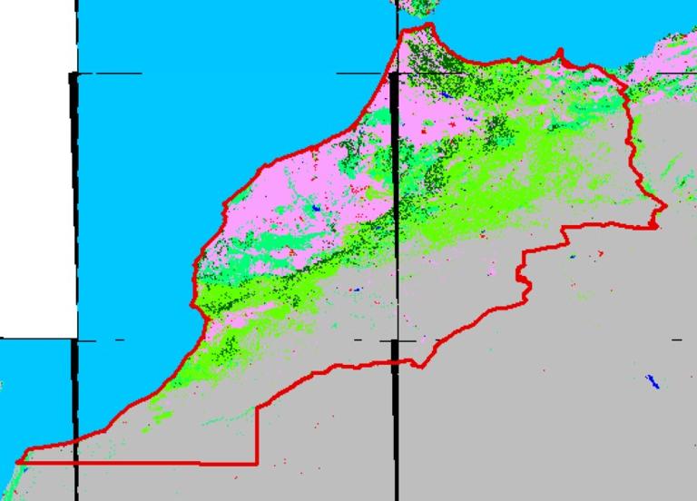 2010 Morocco 30 m Resolution Land Cover Product
