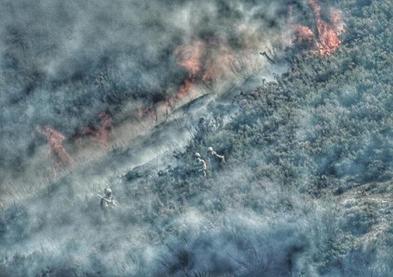 Governments, smart data and wildfires: where are we at?