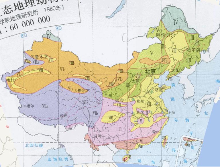 Map of Chinese ecological geographical fauna in 1980