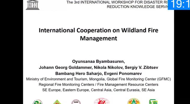 International cooperation on wildland fire management