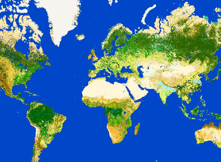 Online Map of ESA Global Land Cover Data in 2005 (ESA GlobCover)