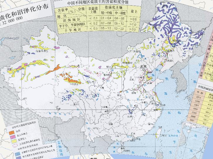 Online map of land salinization and swamping distribution in China